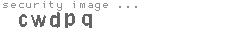 security image