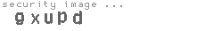 security image