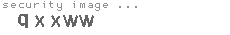 security image