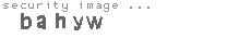 security image