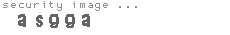 security image