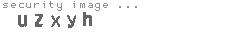 security image