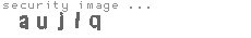 security image