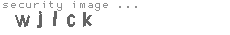 security image
