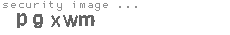 security image