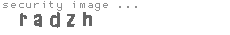 security image
