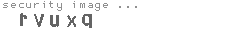 security image
