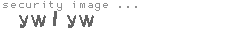 security image