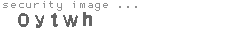 security image