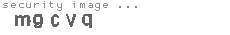 security image