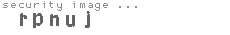 security image