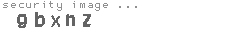 security image