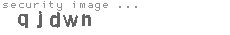 security image
