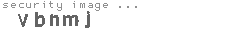 security image