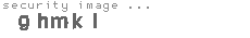 security image