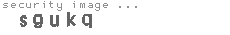 security image