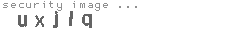 security image