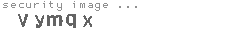 security image