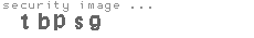 security image
