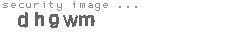 security image