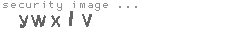 security image