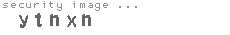 security image
