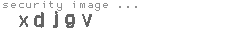 security image