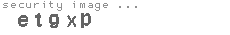 security image