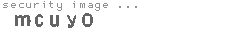 security image