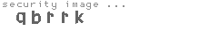 security image