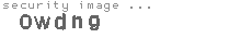 security image