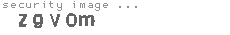 security image