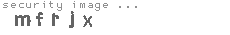 security image