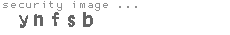security image