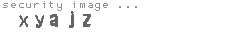 security image
