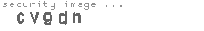 security image
