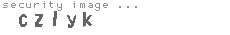 security image