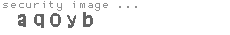 security image
