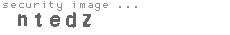 security image