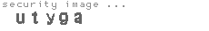 security image