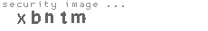 security image