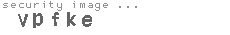 security image