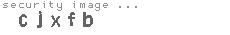 security image