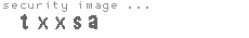 security image