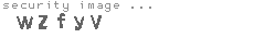 security image
