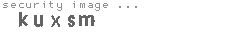security image