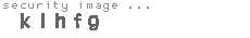security image
