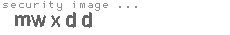 security image