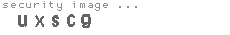 security image