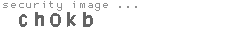 security image